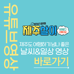 제주살이브이로그유튜브영상